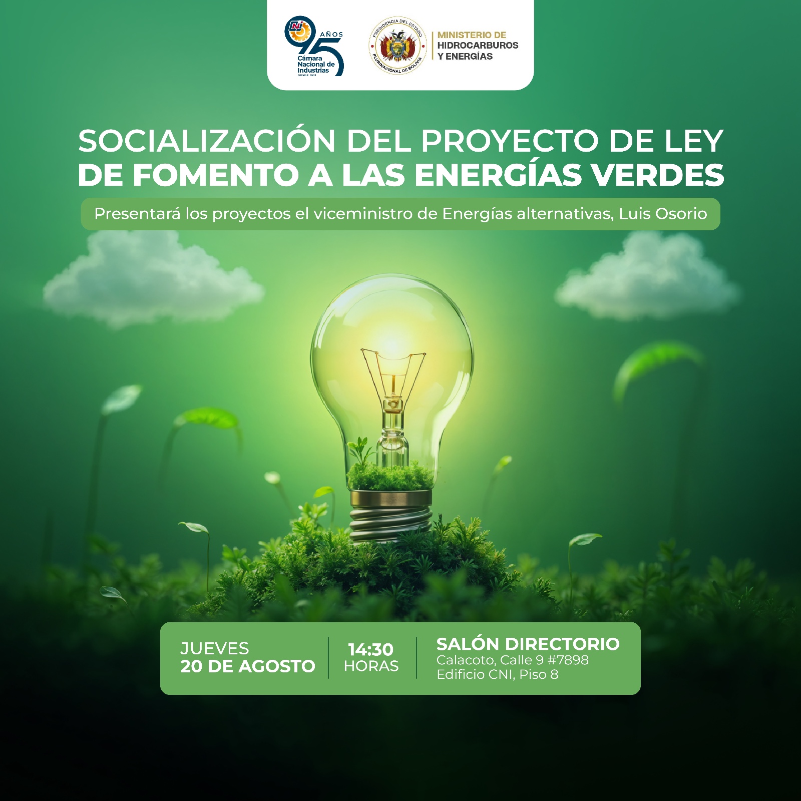 SOCIALIZACIÓN DEL PROYECTO DE LEY DE FOMENTO A LAS ENERGÍAS VERDES